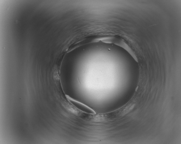 X0000072960384200607282302