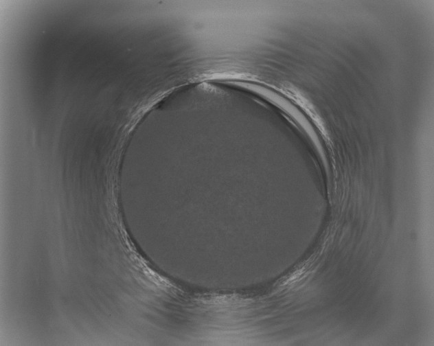 X0000072960385200607282301