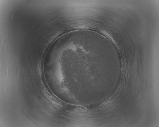 X0000072960386200607282301