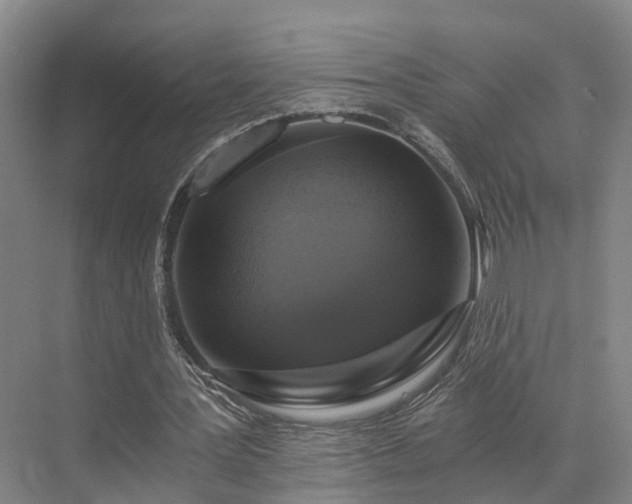 X0000072960387200607282301