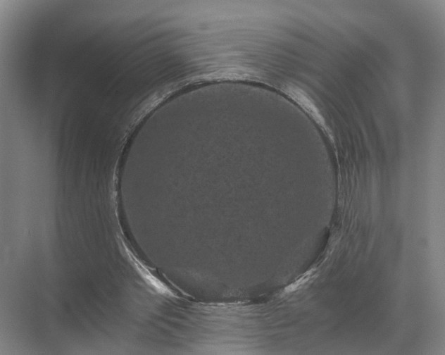 X0000072960389200607282301