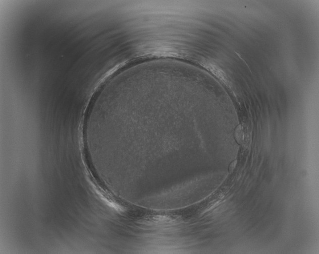 X0000072960390200607282301