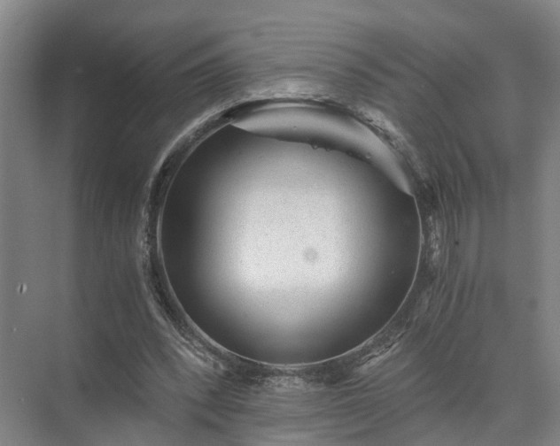 X0000072960392200607282301