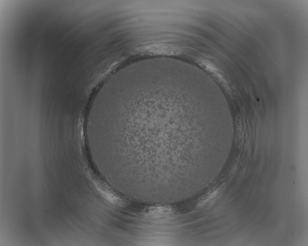 X0000072960398200607282301