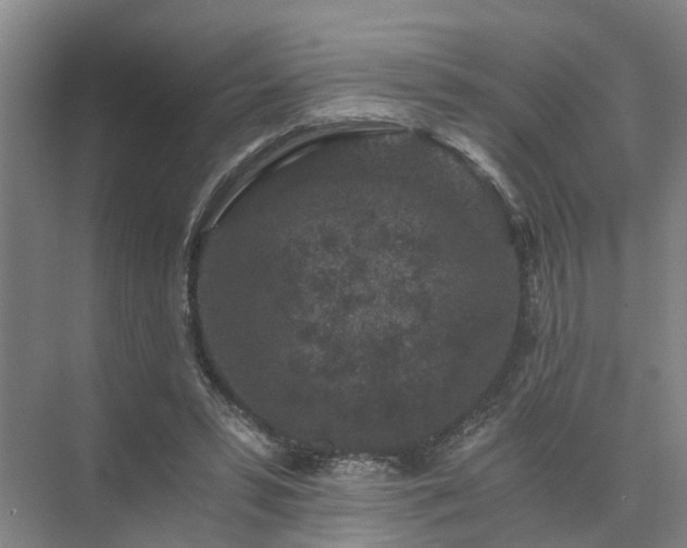 X0000072960399200607282301