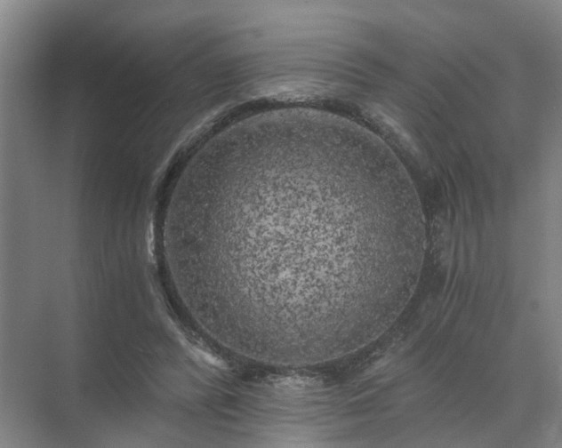 X0000072960400200607282301