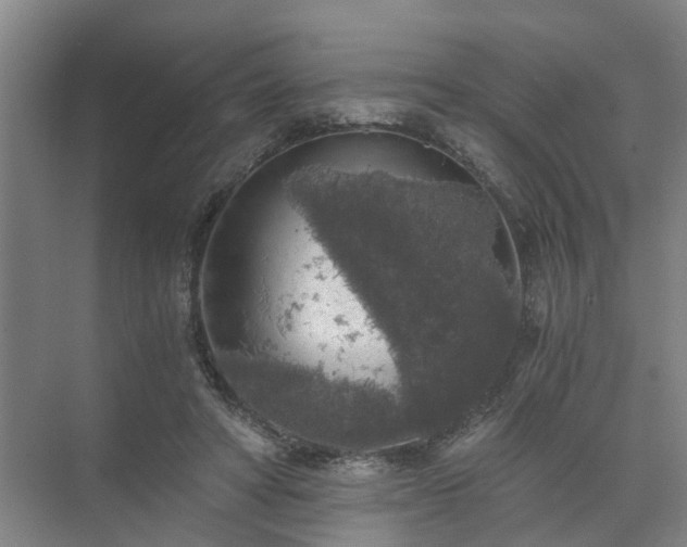 X0000072960402200607282301