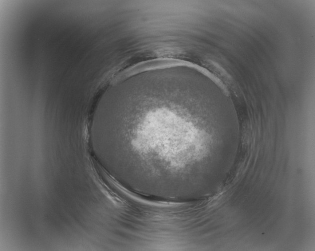 X0000072960405200607282301