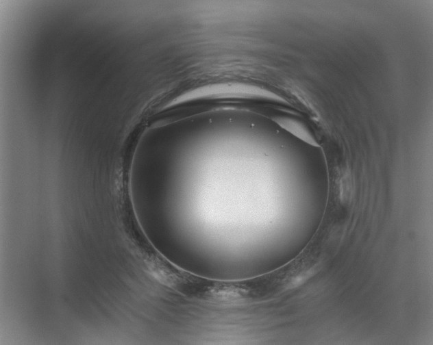 X0000072960407200607282301