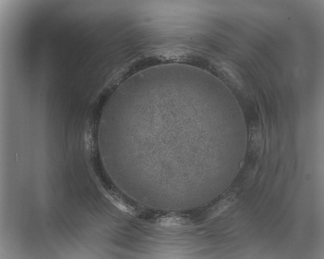 X0000072960408200607282301