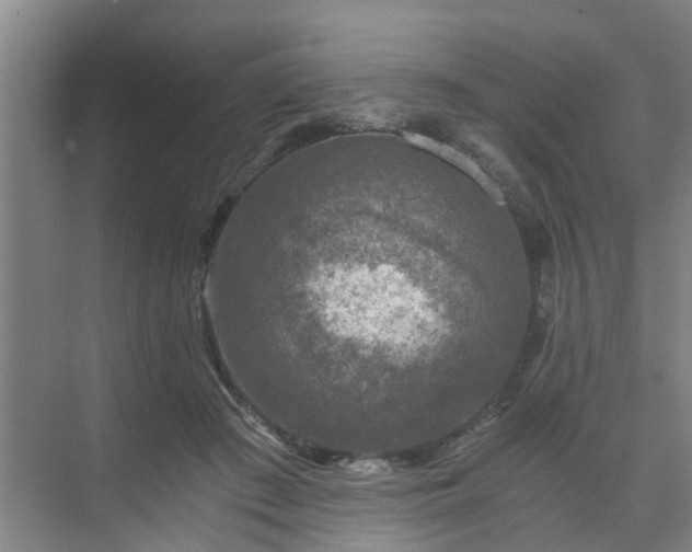 X0000072960409200607282301