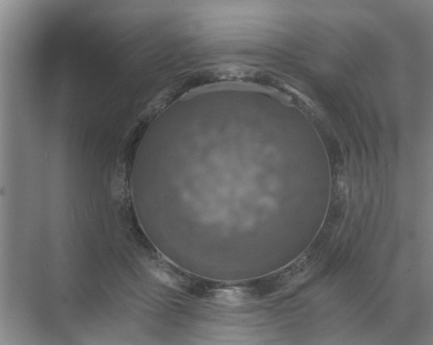 X0000072960411200607282301