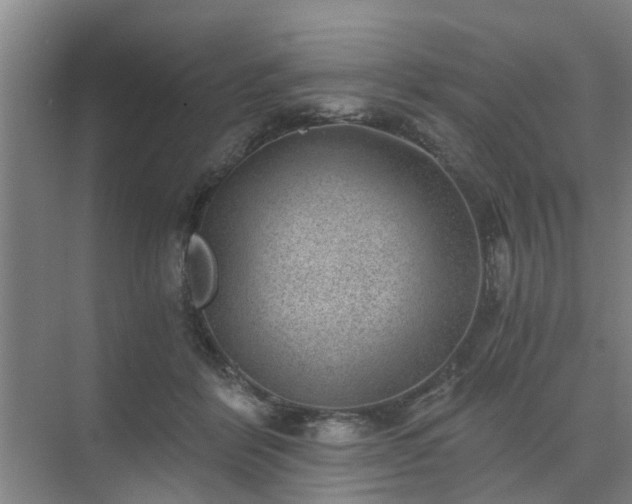 X0000072960412200607282301