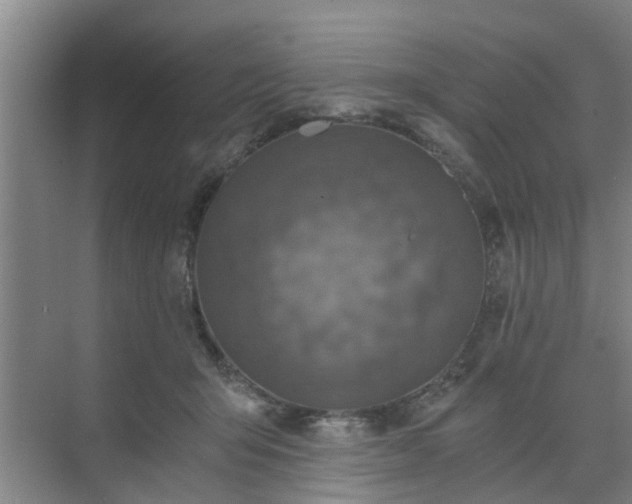 X0000072960415200607282301