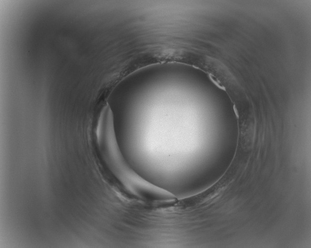 X0000072960416200607282301