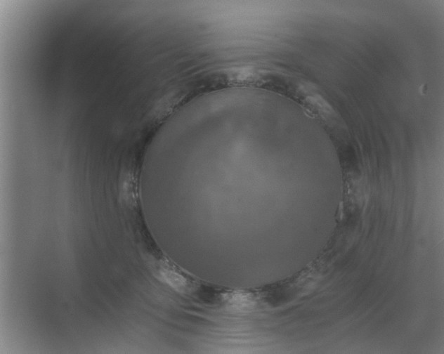 X0000072960419200607282301