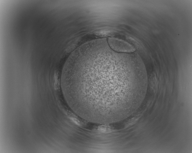 X0000072960420200607282301