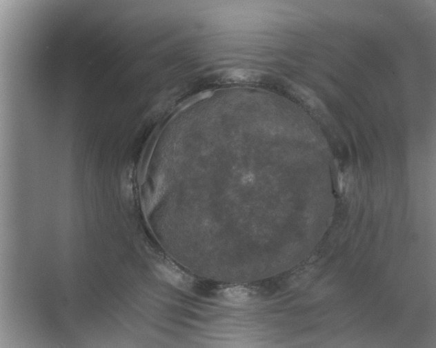 X0000072960423200607282301