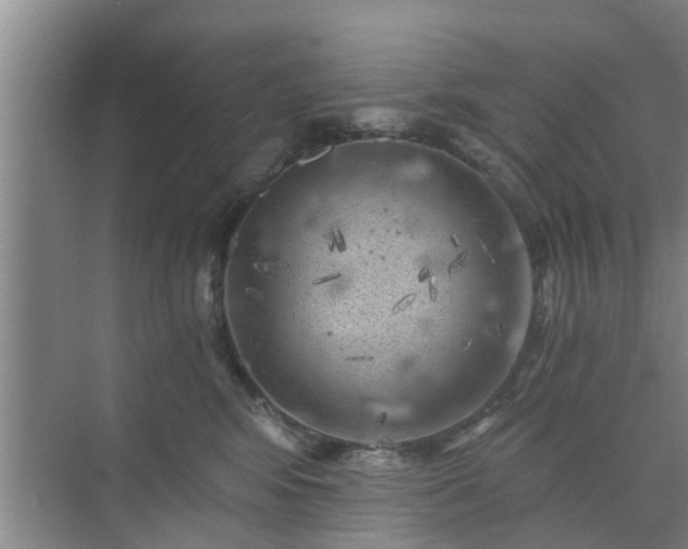 X0000072960424200607282301