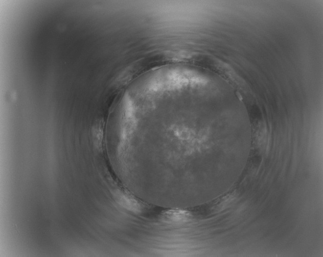 X0000072960427200607282301