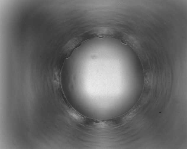 X0000072960430200607282301