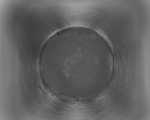 X0000072960434200607282300