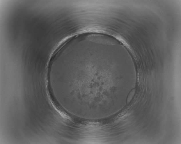 X0000072960438200607282300