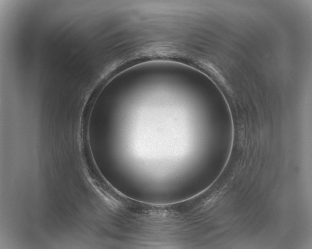 X0000072960439200607282300