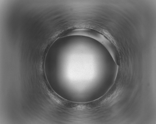 X0000072960441200607282300