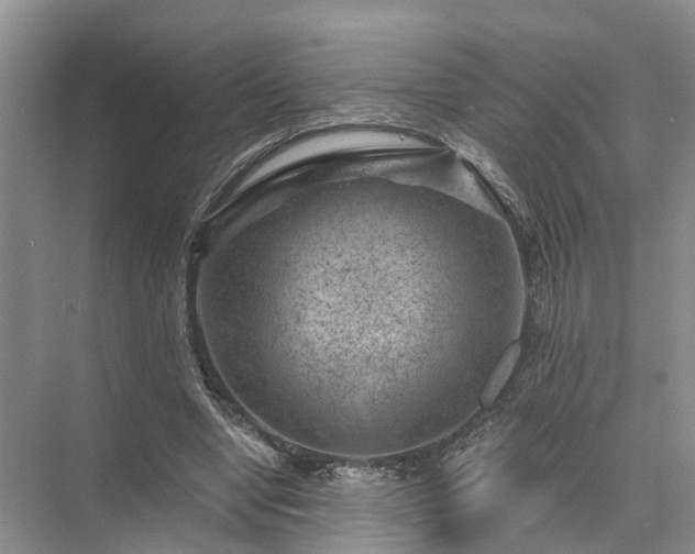 X0000072960442200607282300