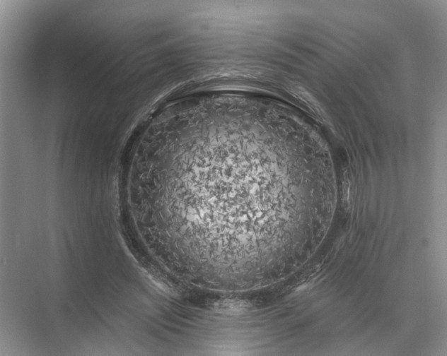 X0000072960444200607282300