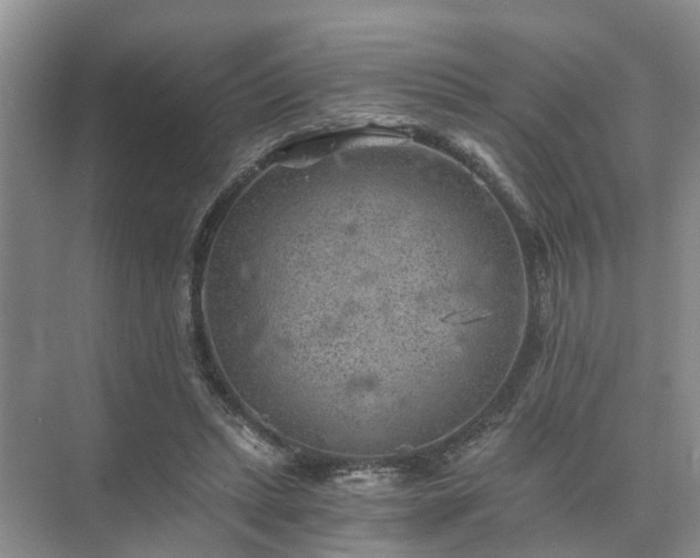 X0000072960447200607282300