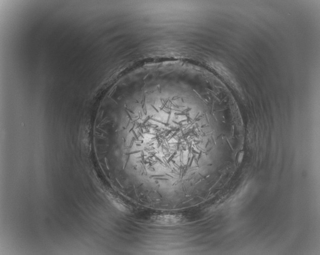 X0000072960449200607282300