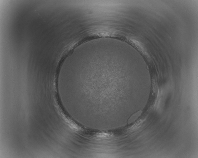 X0000072960453200607282300