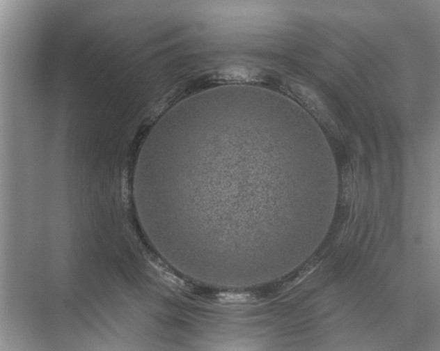 X0000072960457200607282300