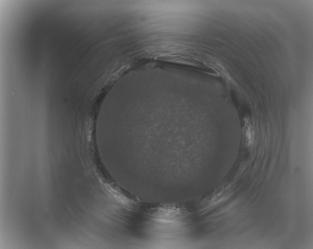 X0000072960458200607282300