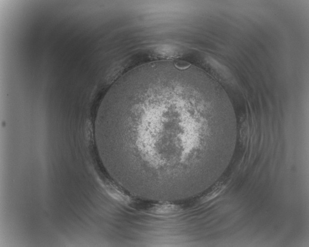 X0000072960459200607282300