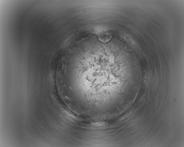 X0000072960461200607282300