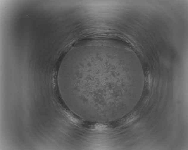 X0000072960462200607282300