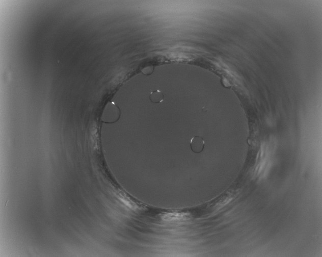 X0000072960465200607282300