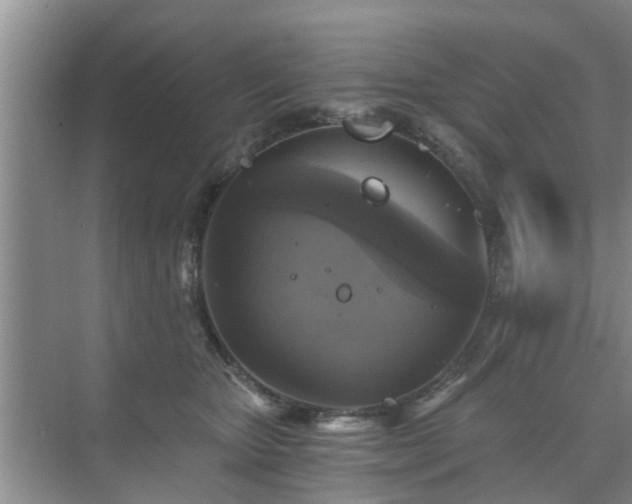 X0000072960467200607282300