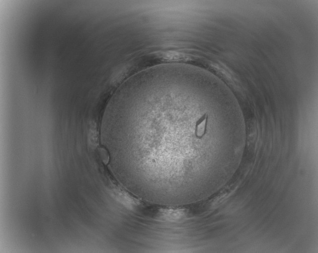 X0000072960469200607282300