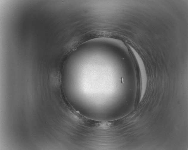 X0000072960474200607282300