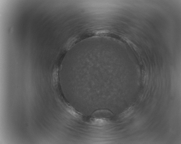 X0000072960475200607282300