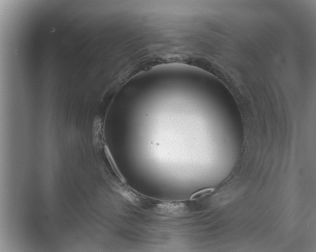 X0000072960480200607282301