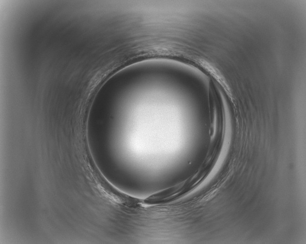 X0000072960481200607282300