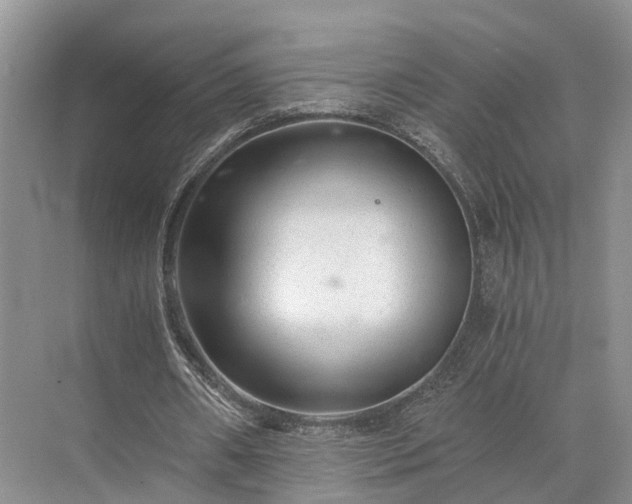 X0000072960482200607282300