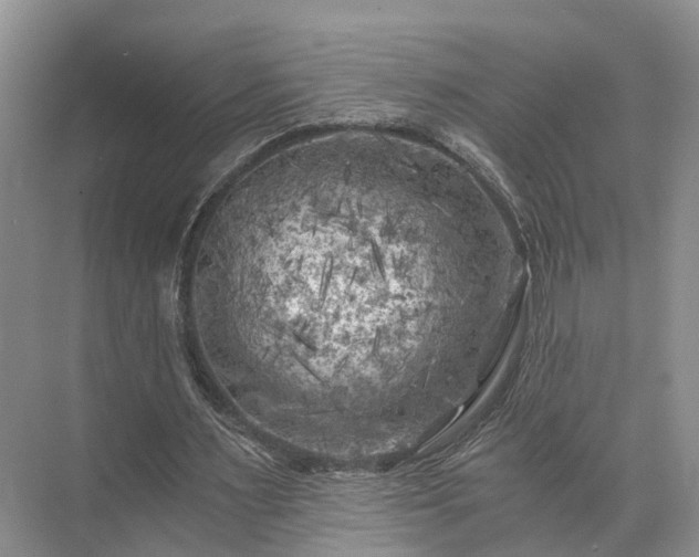 X0000072960483200607282300