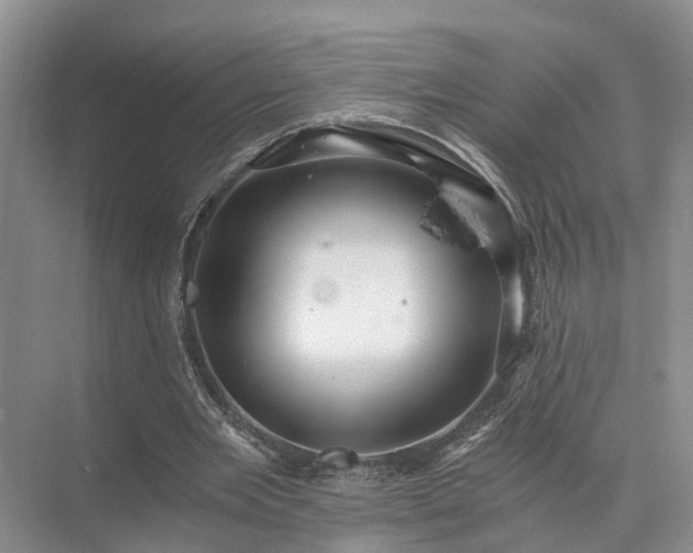 X0000072960485200607282300