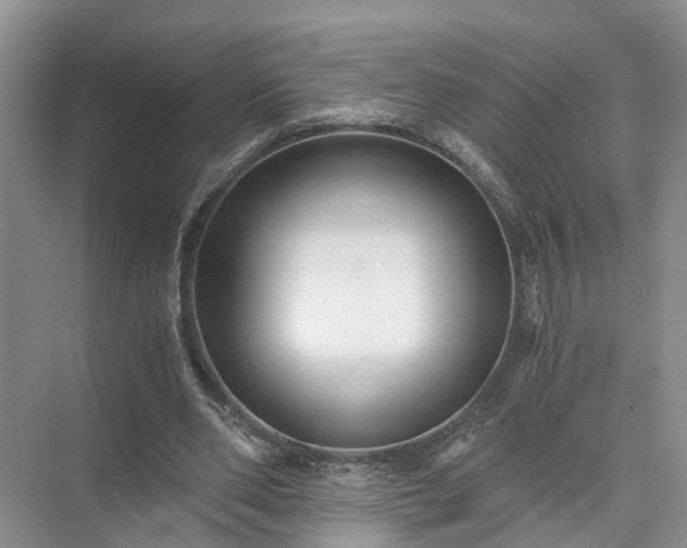 X0000072960486200607282300